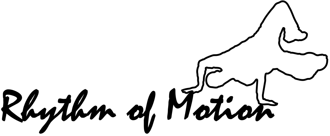 Rhythm Of Motion